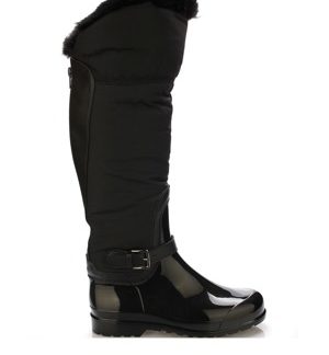Černé italské vyšší holiny s